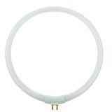 ZAR0236- BEC REZERVA T4 22W PENTRU LAMPA CU LUPA